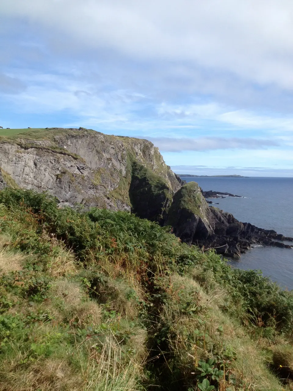 Cliffs to South of Warren Pier