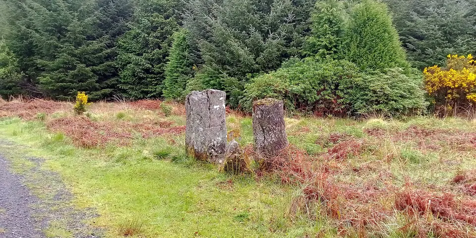 Cloghagadaide stone row