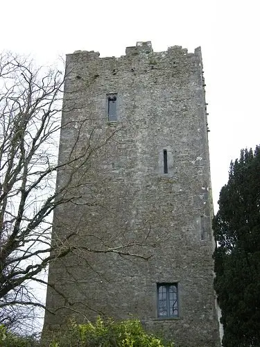 Clomantagh (or Croomantagh) Castle geograph.org.uk 1479267