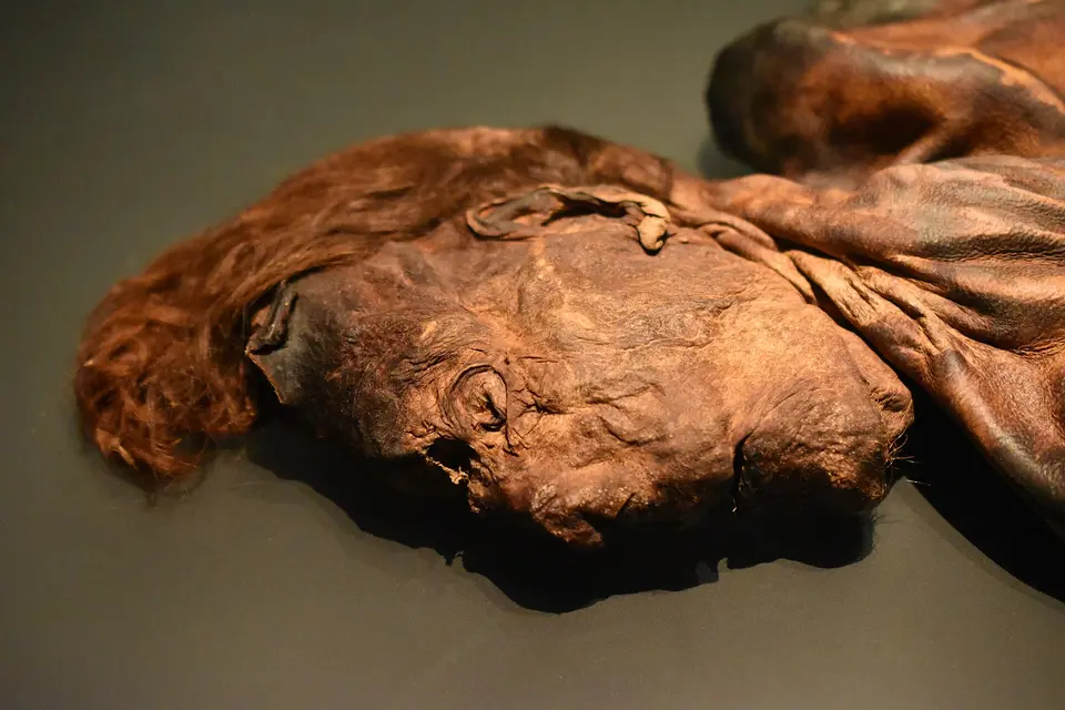 A facial detail of the Clonycavan Man, an Iron Age bog body (c. 392-201 BCE) found in Ballivor, County Meath. National Museum of Ireland.