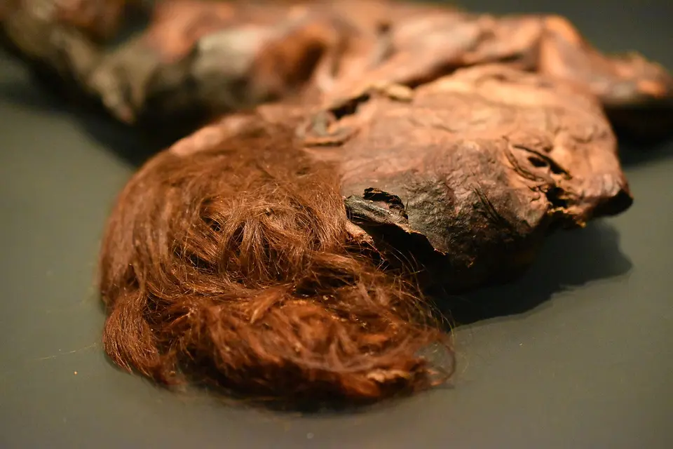 A detail of the head wound and preserved hair of the Clonycavan Man, an Iron Age bog body (c. 392-201 BCE) found in Ballivor, County Meath. National Museum of Ireland.