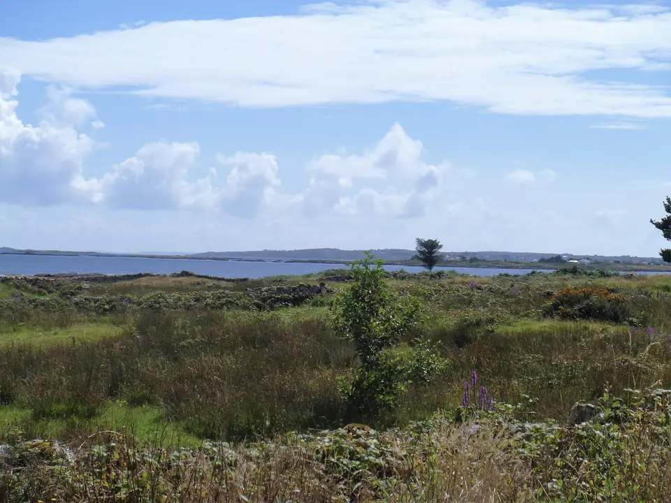 Coastal view [2]