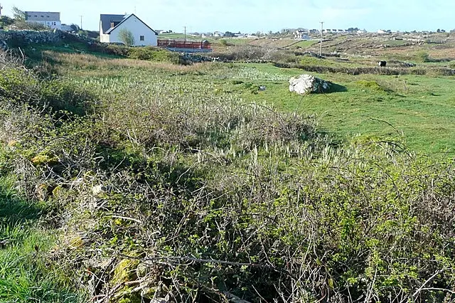 Coill Rua Thiar (Kilroe West) Some houses and lots of rough grazing north of the coast road.