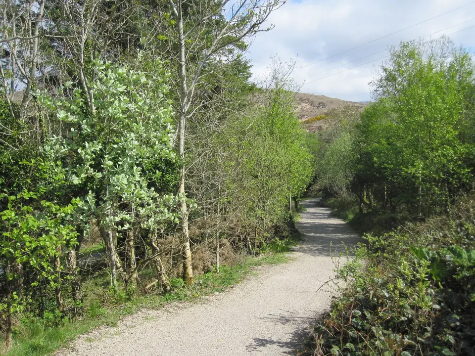 Connemara National Park Visitor Centre: path leading to the walks