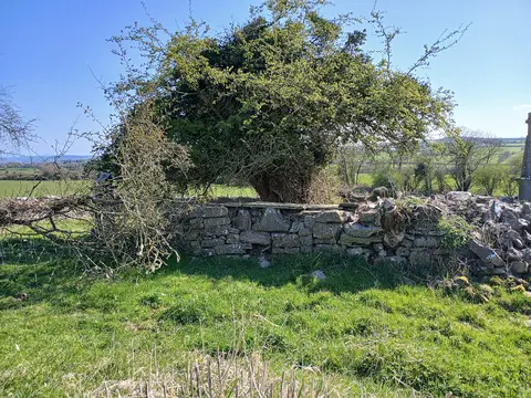 Coolcashin church ruin and graveyard with two architectural fragments built into it.