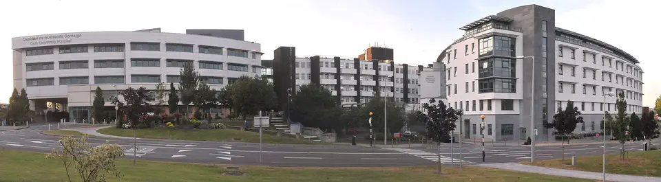 Cork university hospital 2017 stitch