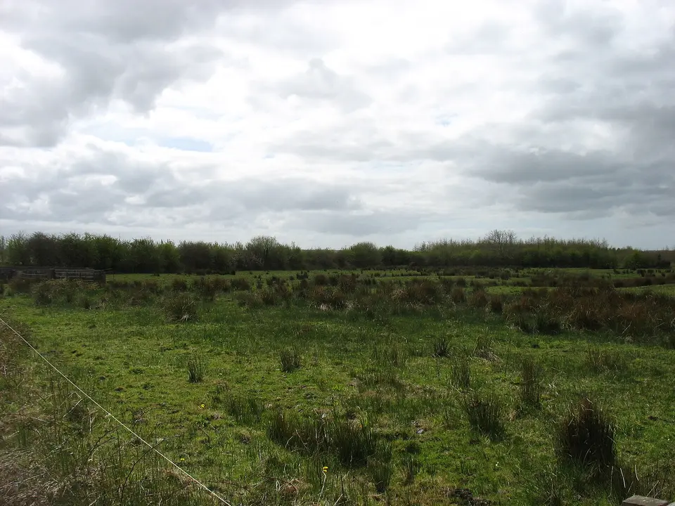 Country west of Moyvane
