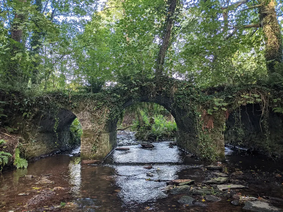 County Cork, Carrignavar Bridge.