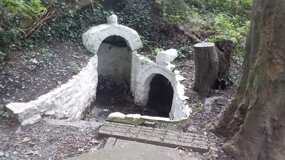 County Dublin, St Catherine's Holy Well (Dublin).