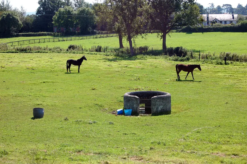 The field around Bastionfort Well is now used as a paddock. I seem to remember seeing cattle in it on previous visits, but I might be mistaken.