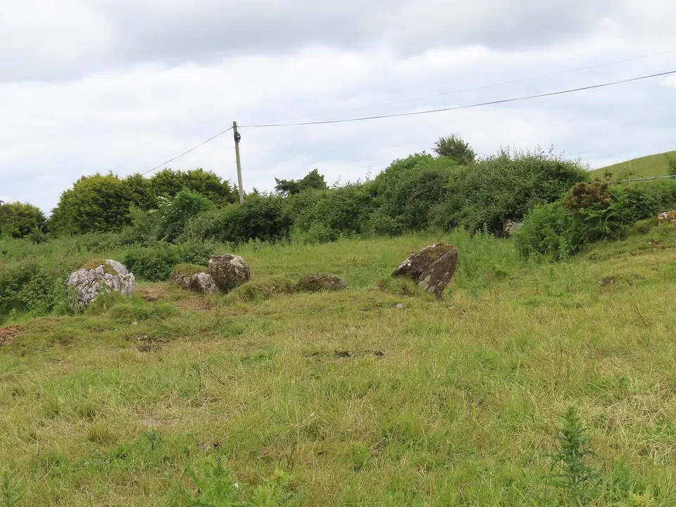 Wedge Tomb at Cregg Co. Galway