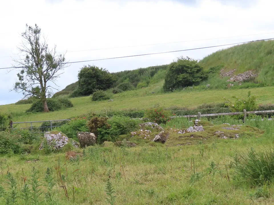 Wedge Tomb at Cregg Co. Galway