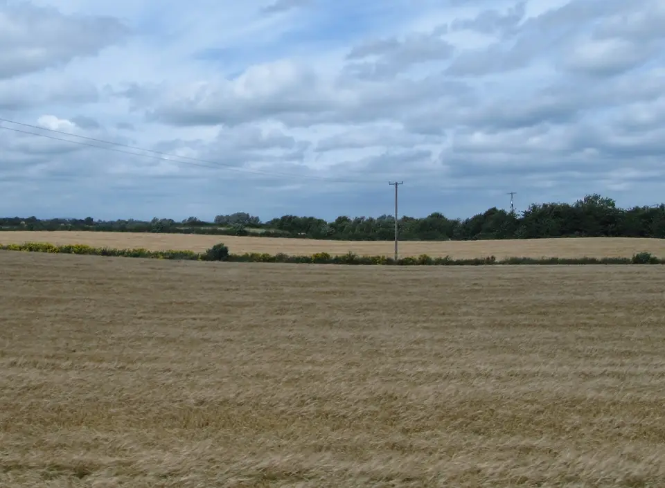 Cropland north of the R171 near the village of Knockbridge