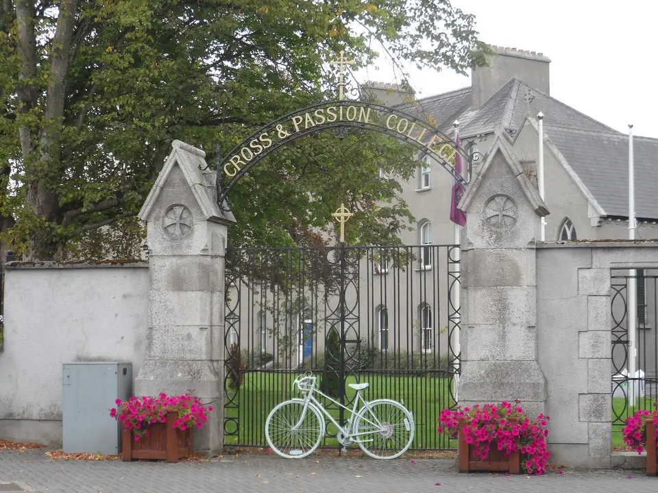 Cross and Passion College, Kilcullen