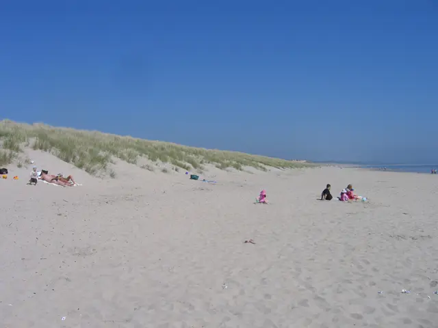 Curracloe dunes and beach along Wexford Bay
