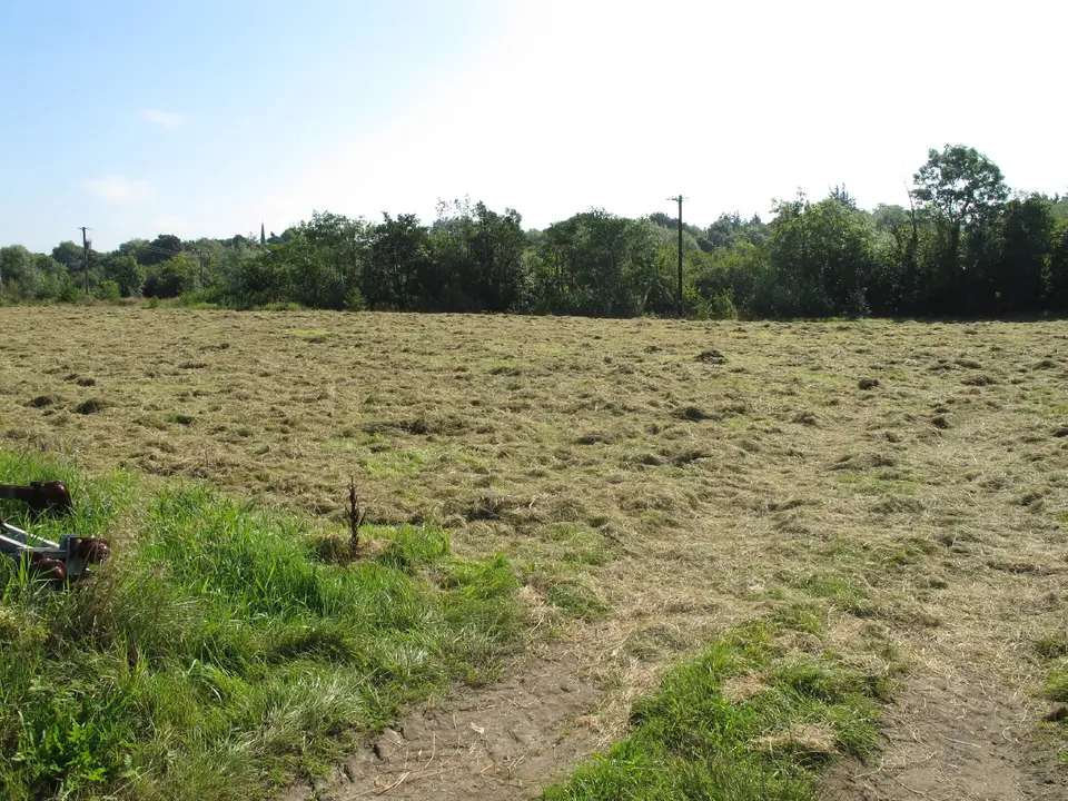 Cut hay near Quinspool