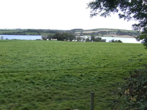 Dairy pasture by the River Lee. The river is expanded into a reservoir by the dam at Carrigadrohid.