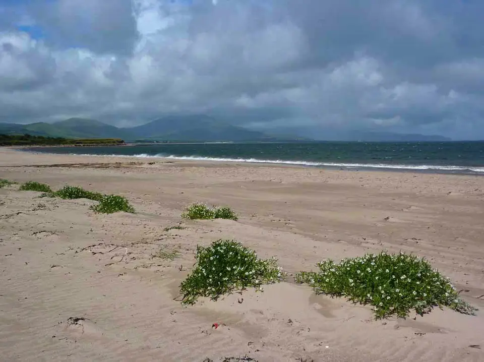 Derrymore Strand