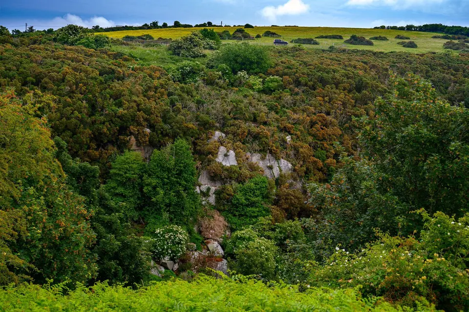 Dingle Glen. Geological formation in Dún Laoghaire-Rathdown, Dublin. c. 500metre-long cleft in the bedrock of the Dublin Mountains. Not far from 'The Scalp'.