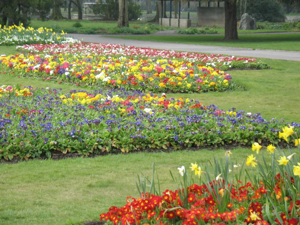 Fitzgerald's Park