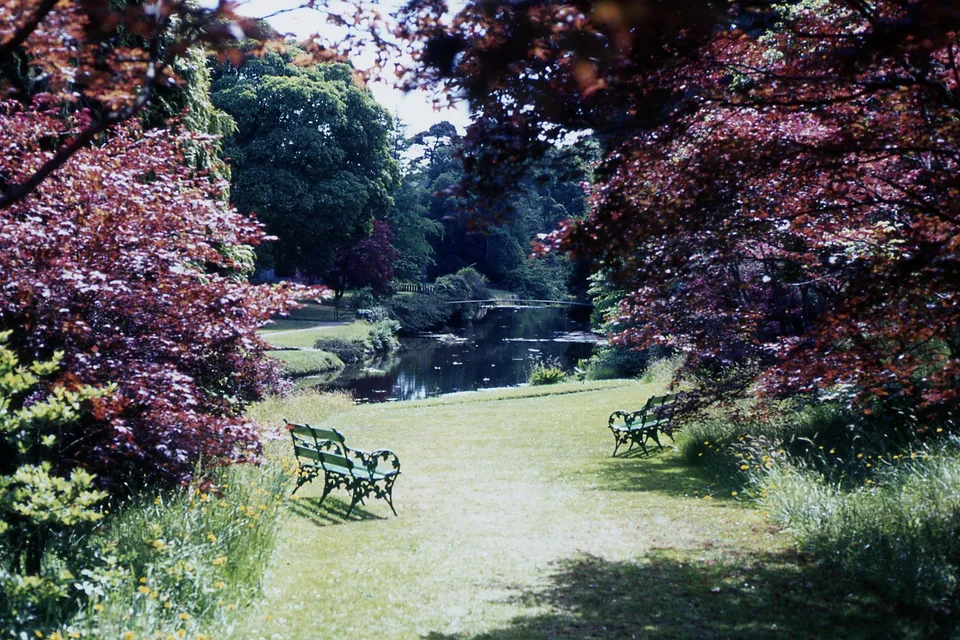 Mount Usher Gardens