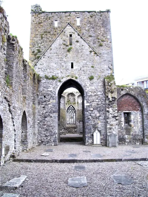 Dominican Friary, Cashel