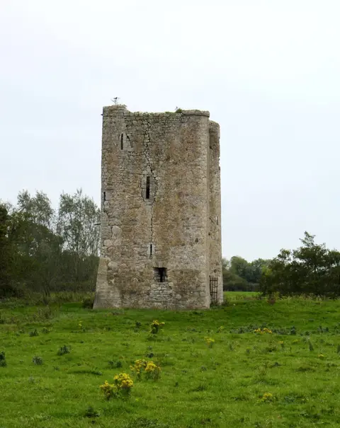 Donore Castle, County Meath