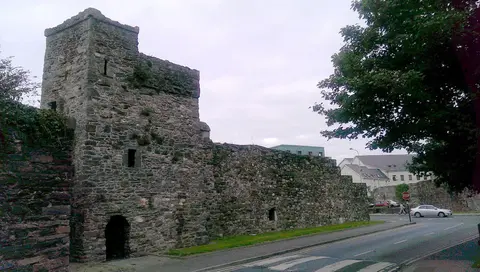 Double Tower, Waterford