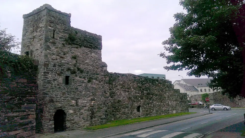 Double Tower, Waterford
