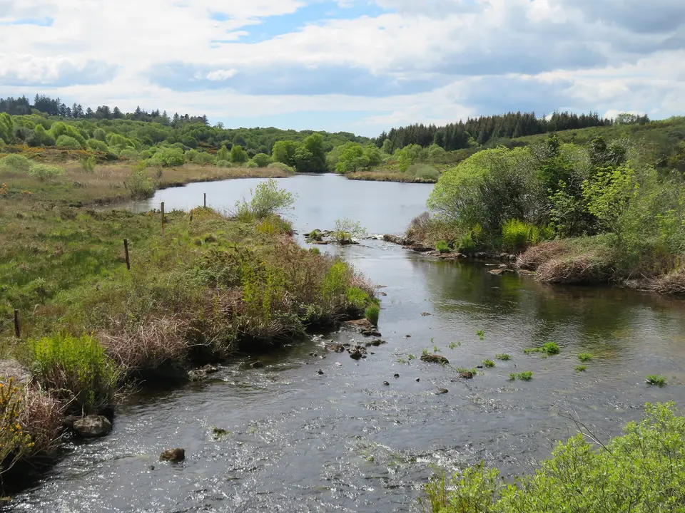 Downstream along the Cloonie River