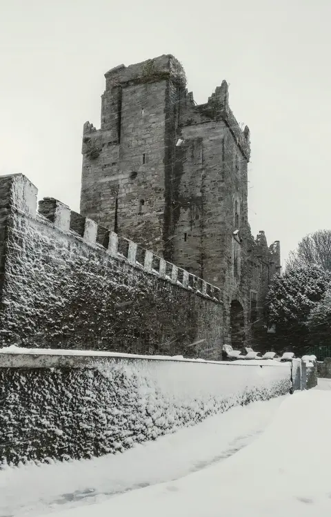 Drimnagh Castle.