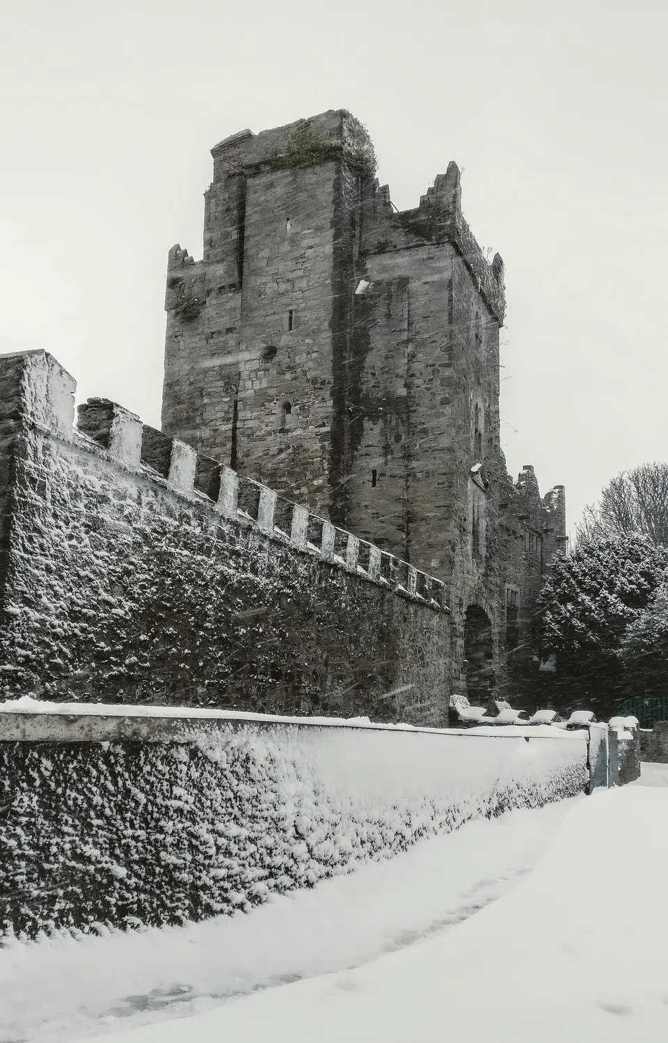 Drimnagh Castle.