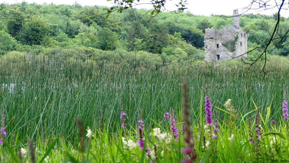 View of the ruins of Dromore Castle, County Clare, Ireland as seen from Rabbit Island