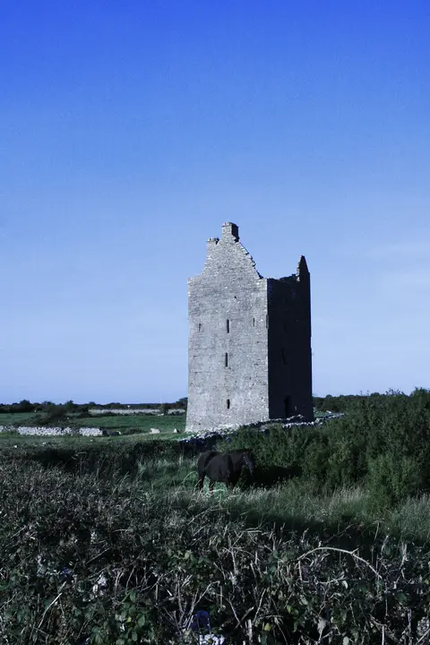 Drumharsna Castle