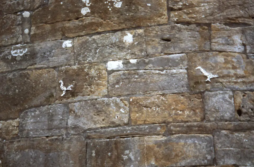 Drumlane Round Tower, images of hen and cock