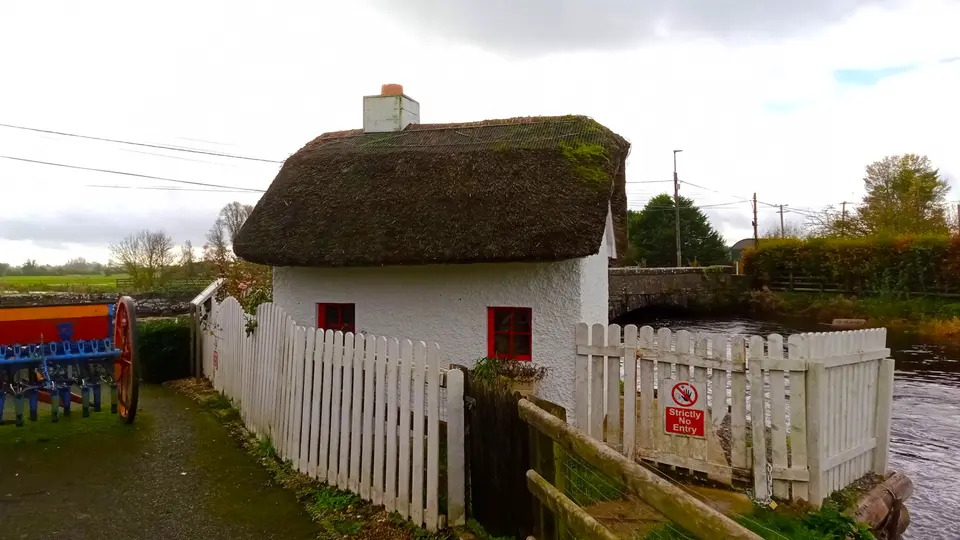 Duck House in Loughmore (Loughmoe) in Co. Tipperary, part of a duck breeding/ raising (?) project.
