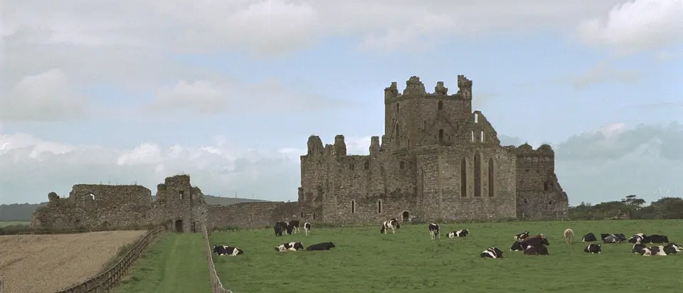 Dunbrody Abbey, County Wexford, Ireland East range of Dunbrody Abbey, as seen from the R733.