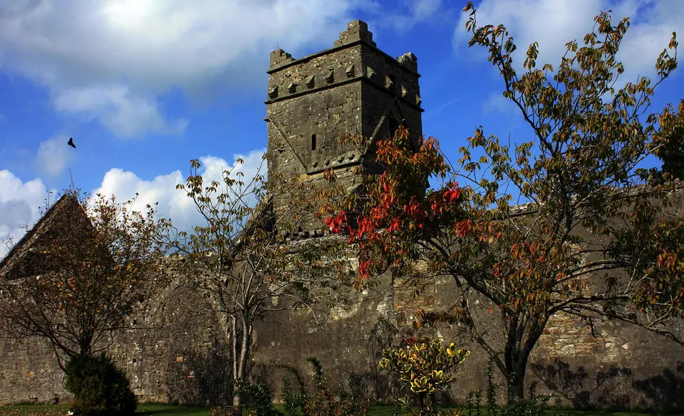Dunmore Abbey Friary, County Galway