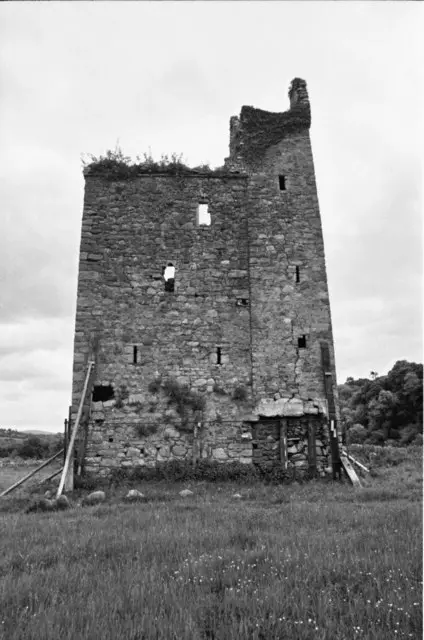 Dysart Castle, Thomastown, Co. Kilkenny geograph.org.uk 1106083