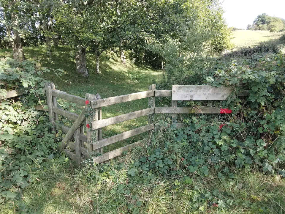 entrance lane to Saint Bridgid's Well, Eadestown, Co Kildare, Ireland. in the townland of Newtown Great.