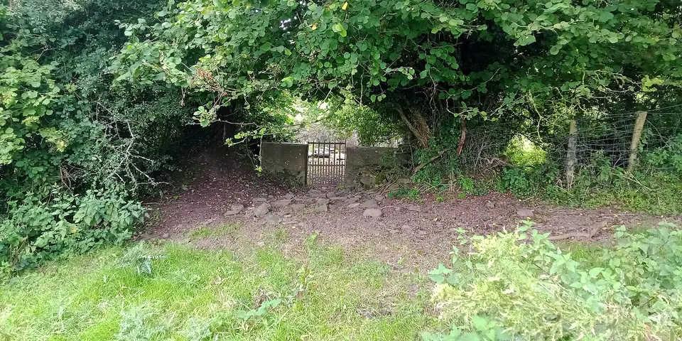 entrance to Church Well, Chatsworth. It's not one I would call accessible, because you have to walk a boggy field, jump a stream and walk another boggy fiel with cattle in it.