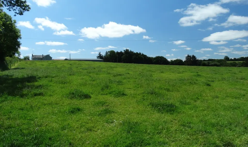 Farm fields near Ballinhassig