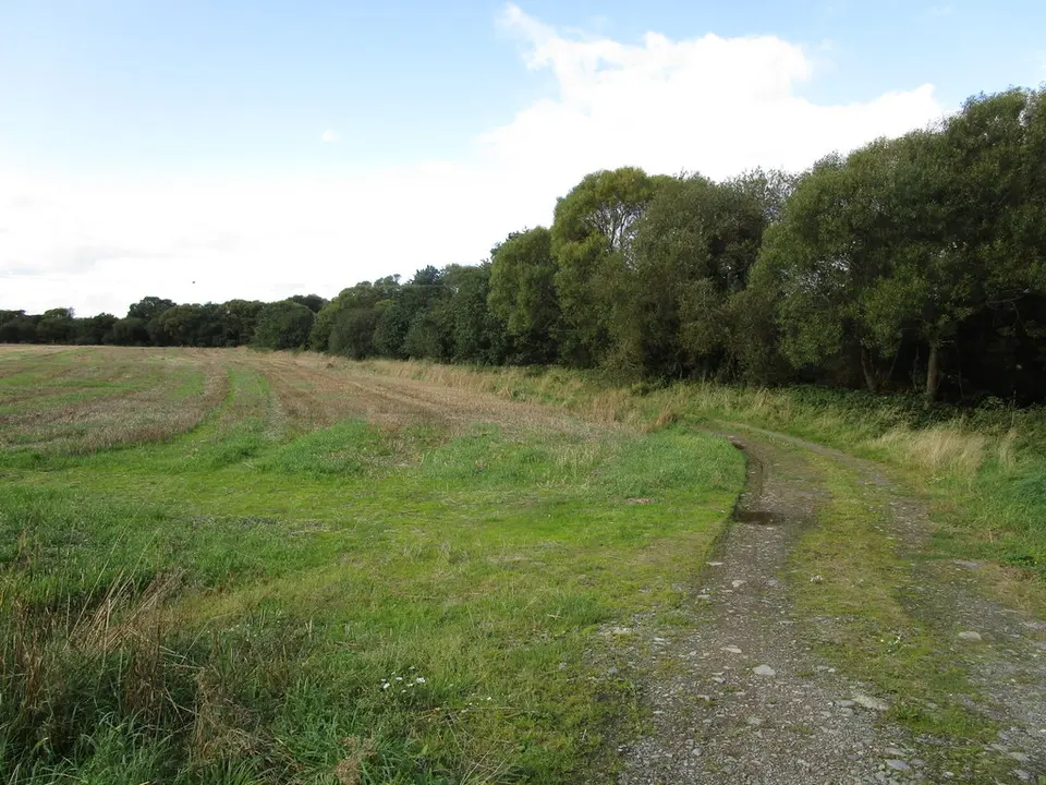 Farm track alongside the Glen River