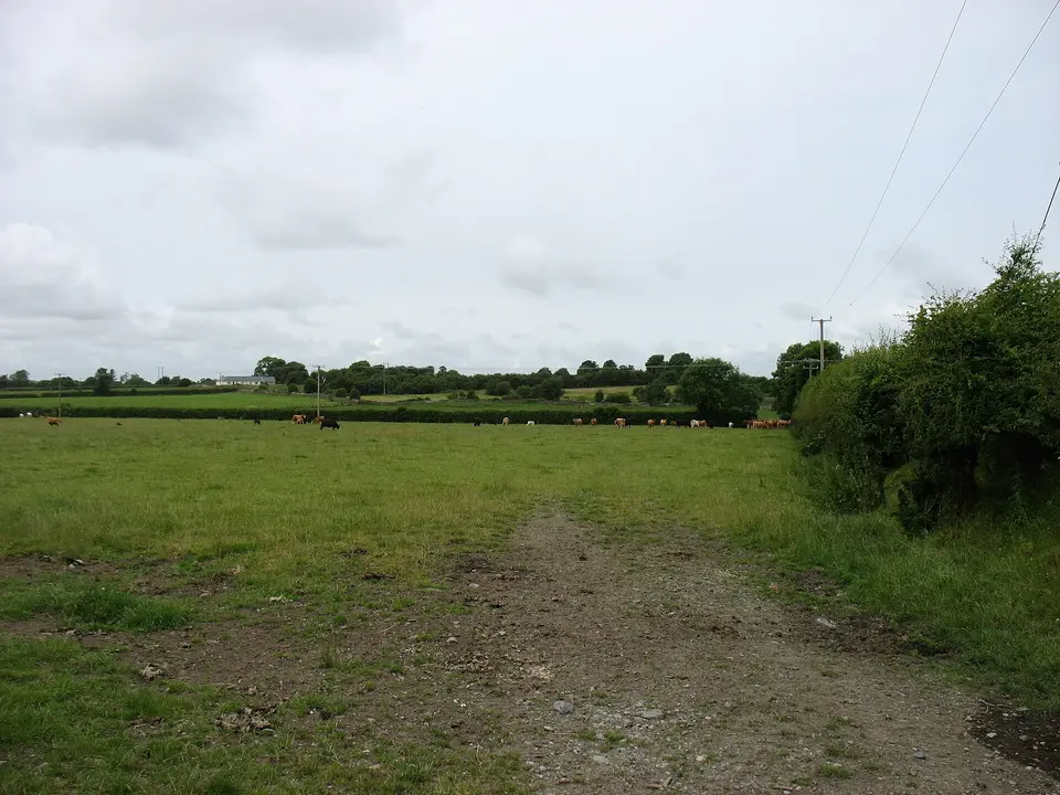 Farmland near Ballinunty