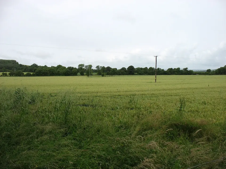 Farmland near Ballinure