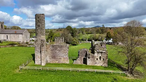 Ferns Abbey aerial photo