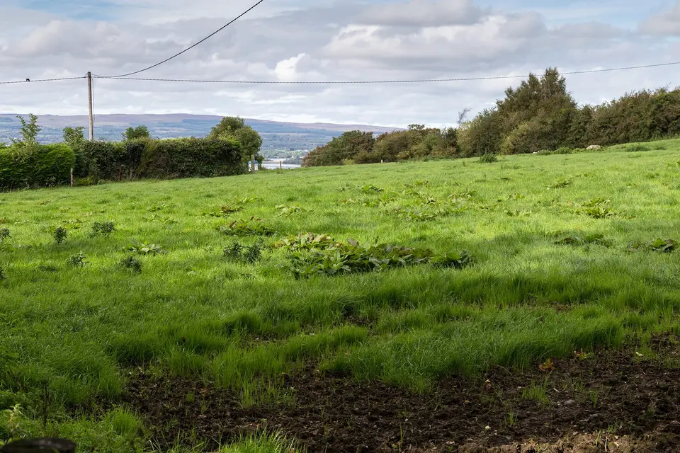 Fields north of minor road