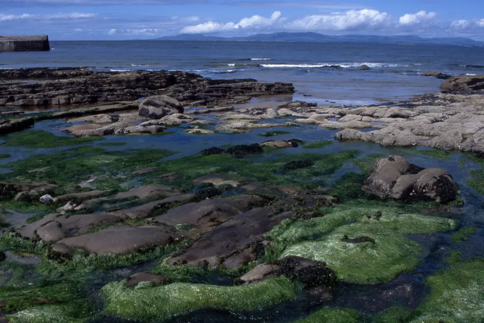 Foreshore at Bunatrahan Pier