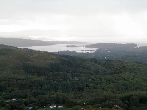 Forest north west of Glengarriff, Beara peninsula. In the distance you can see "Glengarriff Harbour" (bay). In the far distance is Bantry Bay, Whiddy Island and Bantry.