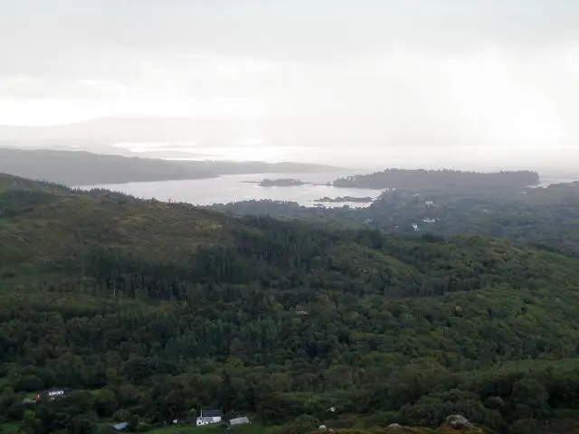Forest north west of Glengarriff, Beara peninsula. In the distance you can see "Glengarriff Harbour" (bay). In the far distance is Bantry Bay, Whiddy Island and Bantry.